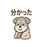 こもりシュナのまったり返答スタンプ（個別スタンプ：4）