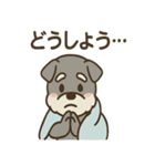 こもりシュナのまったり返答スタンプ（個別スタンプ：21）