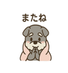 こもりシュナのまったり返答スタンプ（個別スタンプ：25）