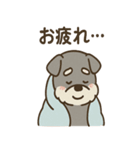 こもりシュナのまったり返答スタンプ（個別スタンプ：27）