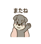 こもりシュナのまったり返答スタンプ（個別スタンプ：28）