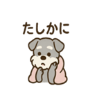 こもりシュナのまったり返答スタンプ（個別スタンプ：34）