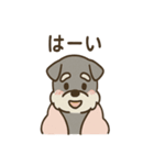 こもりシュナのまったり返答スタンプ（個別スタンプ：35）