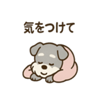 こもりシュナのまったり返答スタンプ（個別スタンプ：39）