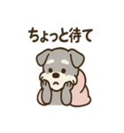 こもりシュナのまったり返答スタンプ（個別スタンプ：40）