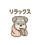 こもりシュナのぬくぬくリアクション（個別スタンプ：39）