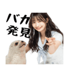 (煽り返信)毒舌美女とアザラシ♡毎日便利（個別スタンプ：6）
