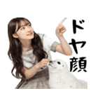 (煽り返信)毒舌美女とアザラシ♡毎日便利（個別スタンプ：22）