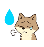 サンドくん40: 真顔キツネ日常（個別スタンプ：11）