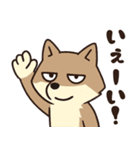 サンドくん40: 真顔キツネ日常（個別スタンプ：12）