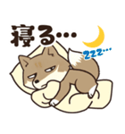 サンドくん40: 真顔キツネ日常（個別スタンプ：15）
