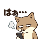 サンドくん40: 真顔キツネ日常（個別スタンプ：17）
