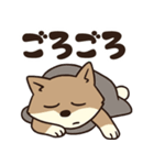 サンドくん40: 真顔キツネ日常（個別スタンプ：19）