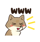 サンドくん40: 真顔キツネ日常（個別スタンプ：20）