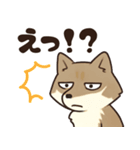 サンドくん40: 真顔キツネ日常（個別スタンプ：25）