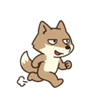 サンドくん40: 真顔キツネ日常（個別スタンプ：29）