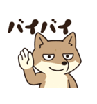 サンドくん40: 真顔キツネ日常（個別スタンプ：32）