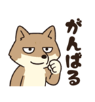 サンドくん40: 真顔キツネ日常（個別スタンプ：33）