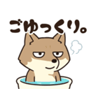 サンドくん40: 真顔キツネ日常（個別スタンプ：34）