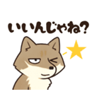 サンドくん40: 真顔キツネ日常（個別スタンプ：35）