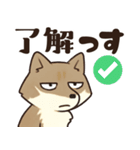 サンドくん40: 真顔キツネ日常（個別スタンプ：38）