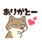 サンドくん40: 真顔キツネ日常（個別スタンプ：40）