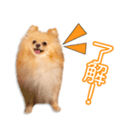 矢野家のおもちちゃん（個別スタンプ：2）