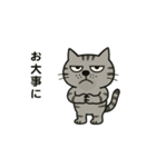 鯖猫ジョン（個別スタンプ：5）