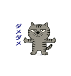 鯖猫ジョン（個別スタンプ：8）