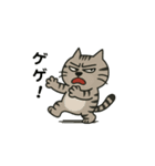 鯖猫ジョン（個別スタンプ：11）