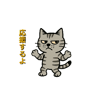 鯖猫ジョン（個別スタンプ：12）