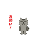 鯖猫ジョン（個別スタンプ：13）