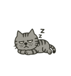 鯖猫ジョン（個別スタンプ：15）