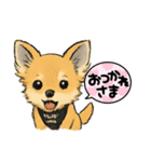 HUG STAMP 1（個別スタンプ：13）