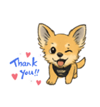 HUG STAMP 1（個別スタンプ：16）