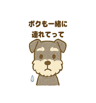 かわいいミニシュナの日常（個別スタンプ：4）