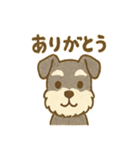 かわいいミニシュナの日常（個別スタンプ：12）
