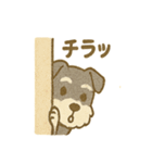 かわいいミニシュナの日常（個別スタンプ：19）