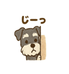 かわいいミニシュナの日常（個別スタンプ：22）