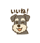 かわいいミニシュナの日常（個別スタンプ：31）