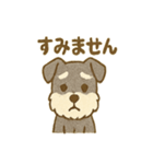 かわいいミニシュナの日常（個別スタンプ：38）