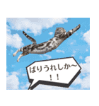 長崎弁だいたいよかっちゃない（個別スタンプ：2）