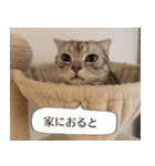 長崎弁だいたいよかっちゃない（個別スタンプ：3）