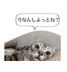 長崎弁だいたいよかっちゃない（個別スタンプ：4）