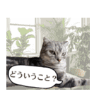 長崎弁だいたいよかっちゃない（個別スタンプ：5）