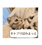 長崎弁だいたいよかっちゃない（個別スタンプ：6）