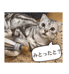 長崎弁だいたいよかっちゃない（個別スタンプ：7）