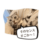 長崎弁だいたいよかっちゃない（個別スタンプ：10）