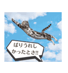 長崎弁だいたいよかっちゃない（個別スタンプ：12）