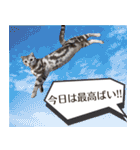 長崎弁だいたいよかっちゃない（個別スタンプ：13）